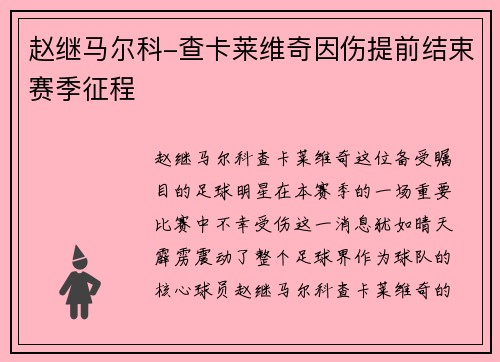 赵继马尔科-查卡莱维奇因伤提前结束赛季征程
